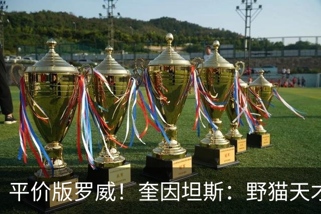 平价版罗威！奎因坦斯：野猫天才内线 存伤病隐患 罚球致敬米切罗